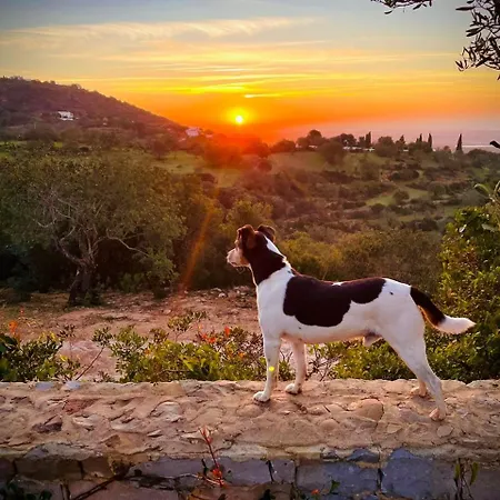 Por Do Sol - Fantastic With Panoramic Coastal & Sea Views Вилла